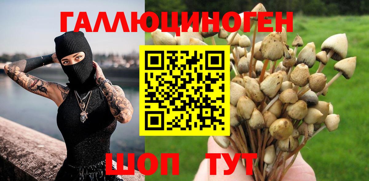 Строитель  Галлюциногенные грибы прущие грибы  Вход с VPN 